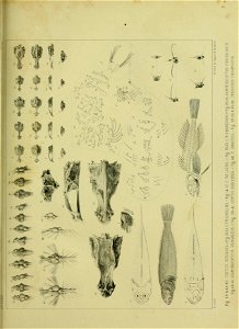 n206_w1150