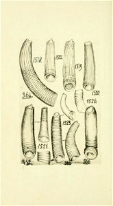 n169_w1150