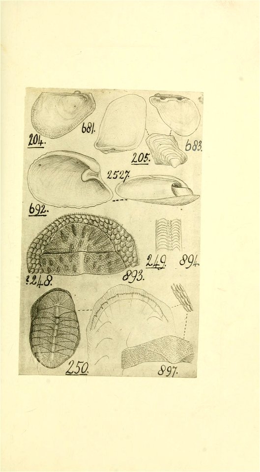 n110_w1150