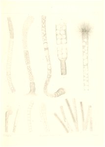 n94_w1150