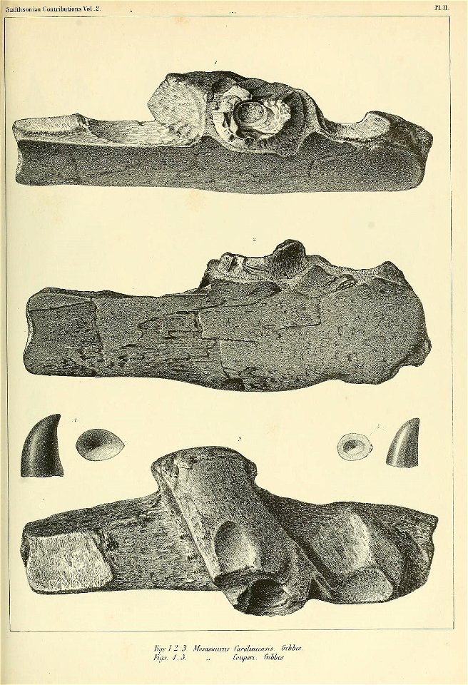 n220_w1150