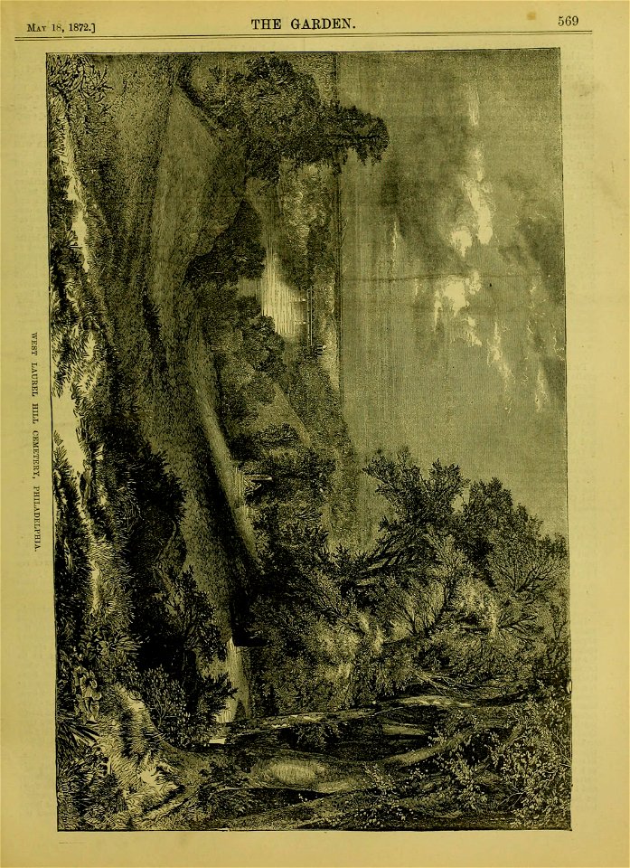 n598_w1150