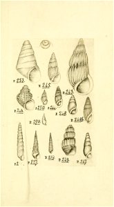n286_w1150