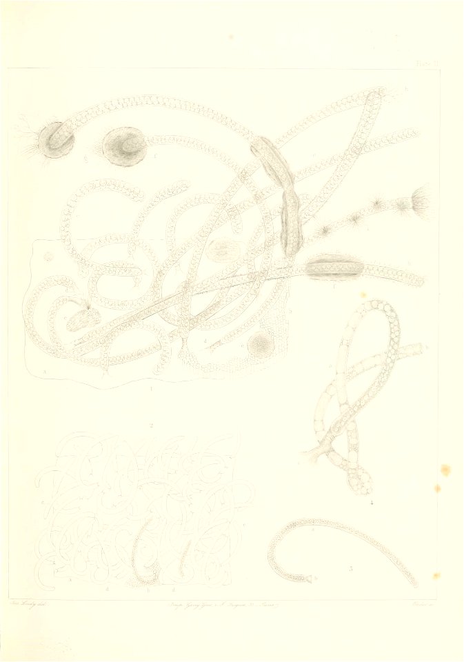 n92_w1150
