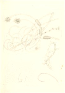 n92_w1150