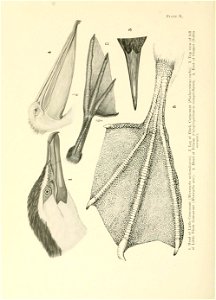 n329_w1150
