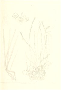 n90_w1150