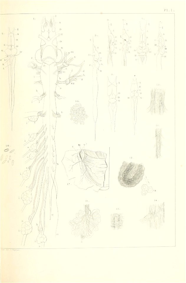 n192_w1150