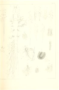 n192_w1150