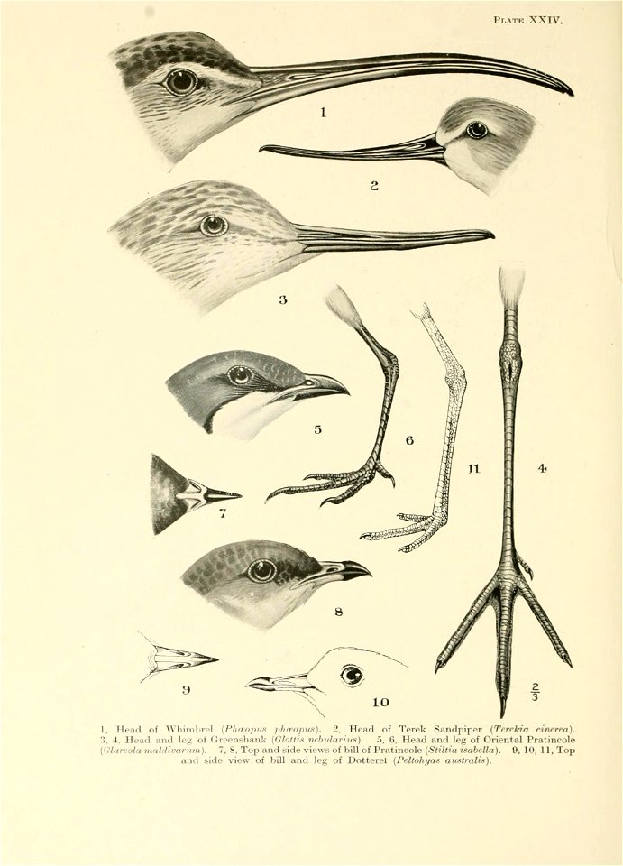 n343_w1150