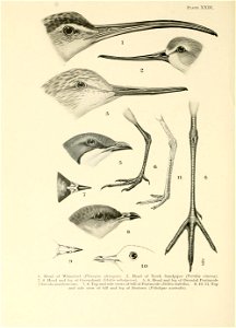 n343_w1150