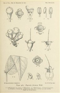 n144_w1150