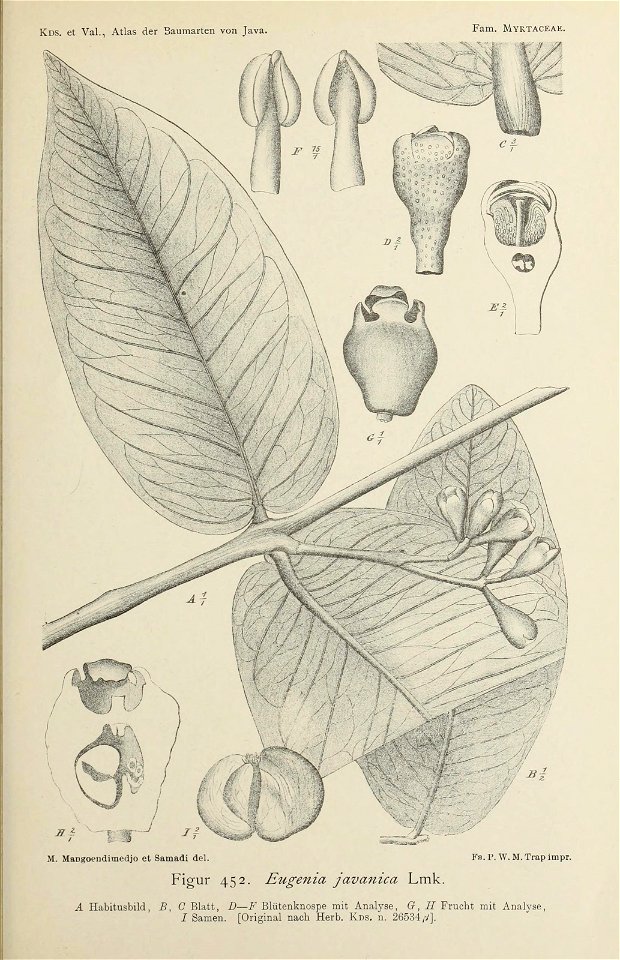n128_w1150