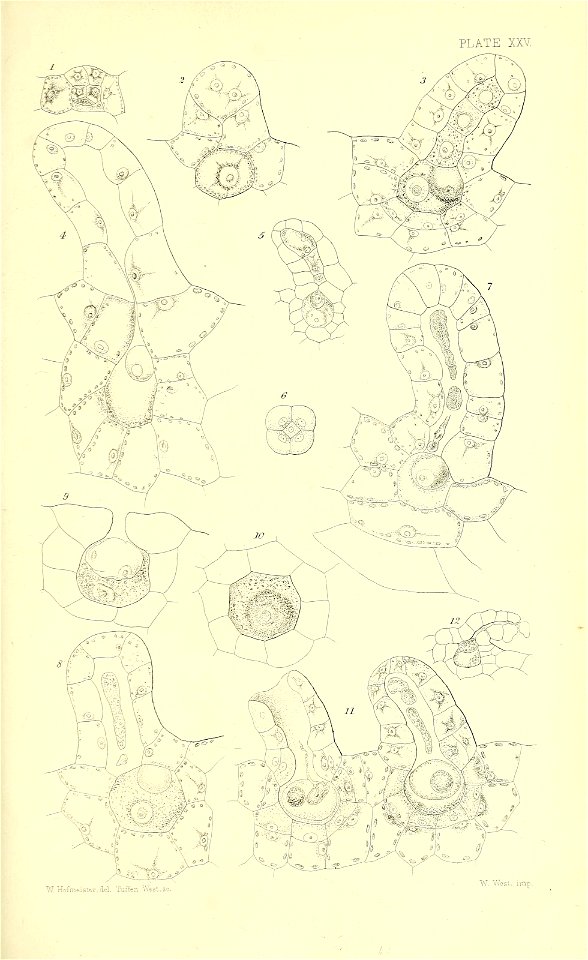 n562_w1150