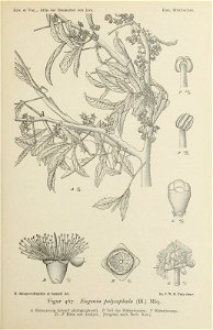 n158_w1150
