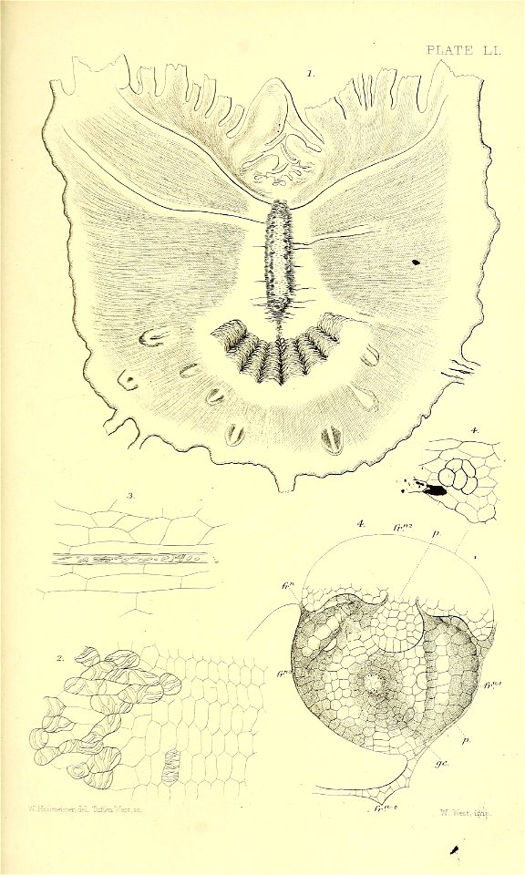 n614_w1150