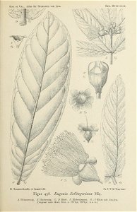 n140_w1150
