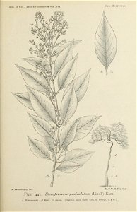 n102_w1150
