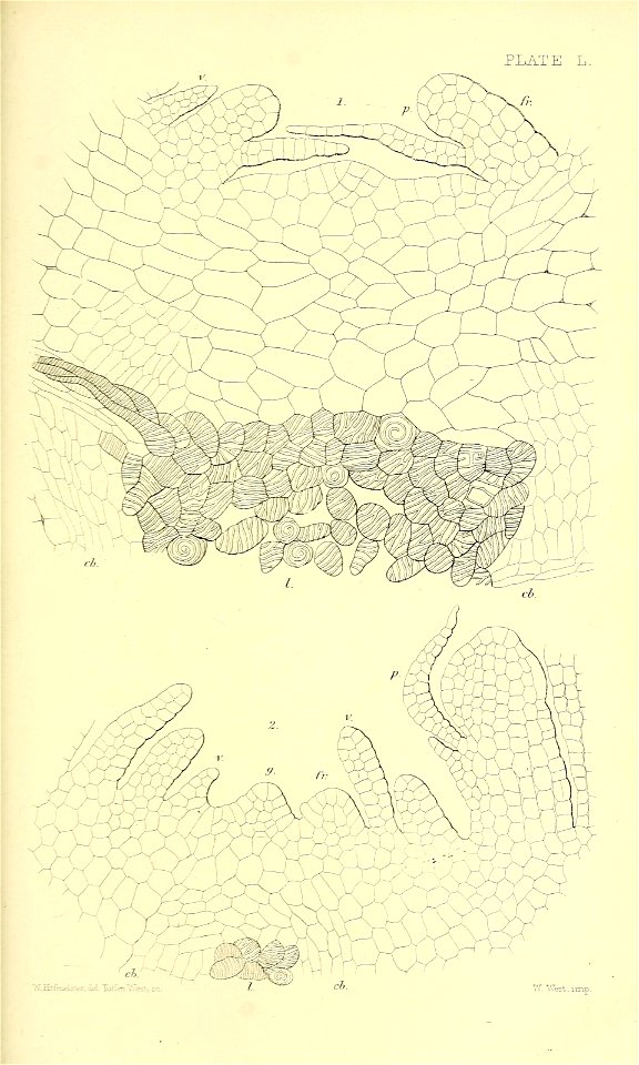 n612_w1150