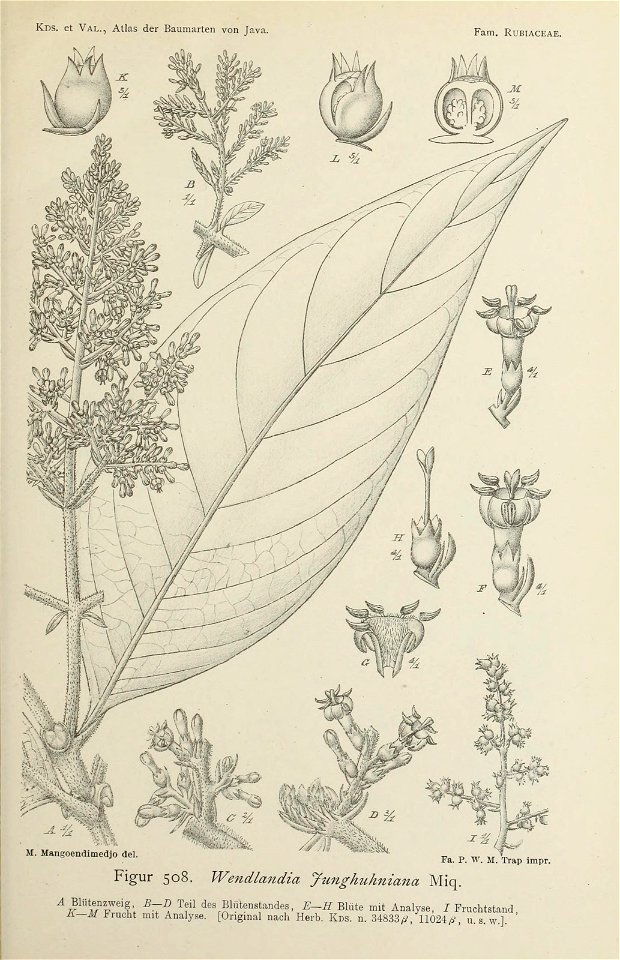 n246_w1150