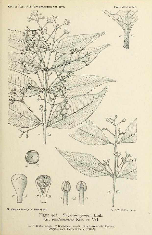 n208_w1150