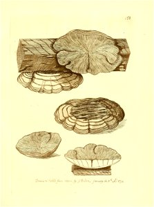 n264_w1150