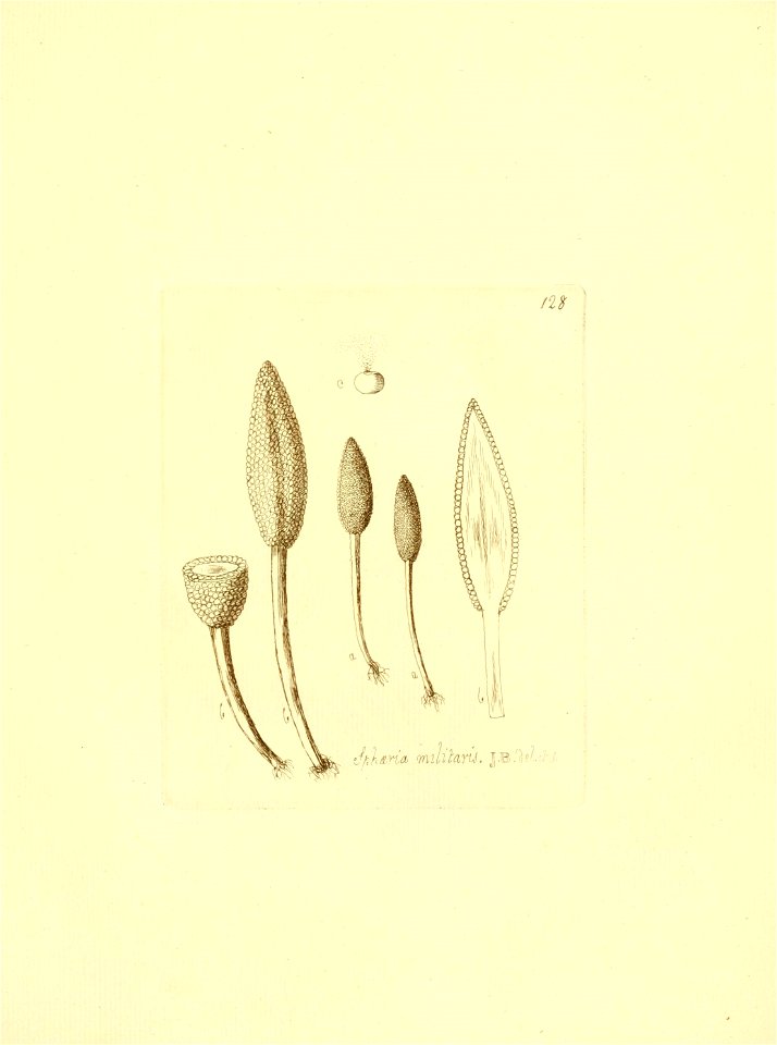 n134_w1150