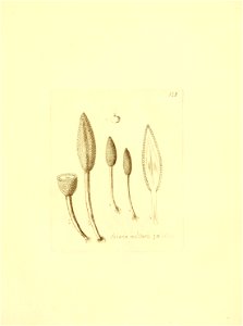 n134_w1150