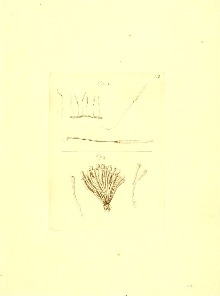 n104_w1150