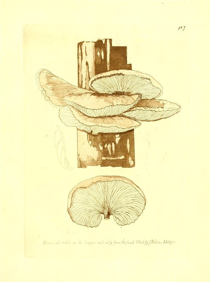 n262_w1150