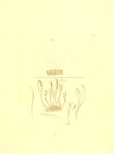 n102_w1150