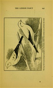 n302_w1150