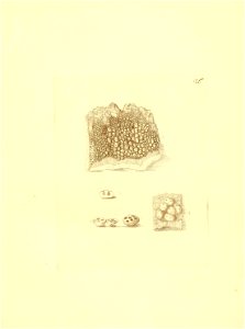n130_w1150