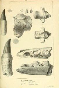 n218_w1150