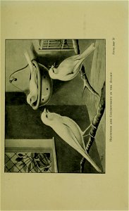 n44_w1150