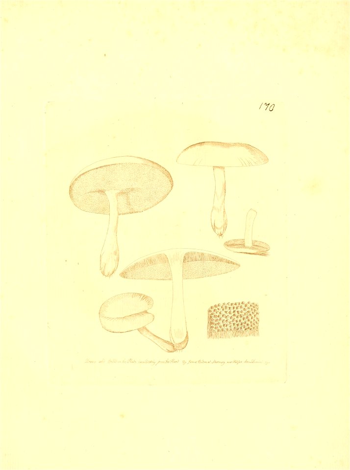 n288_w1150