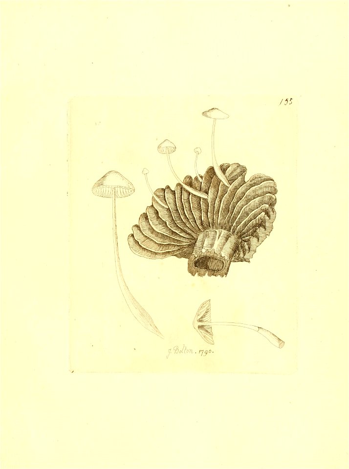 n258_w1150