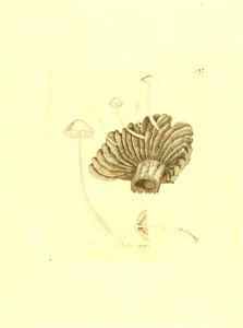 n258_w1150
