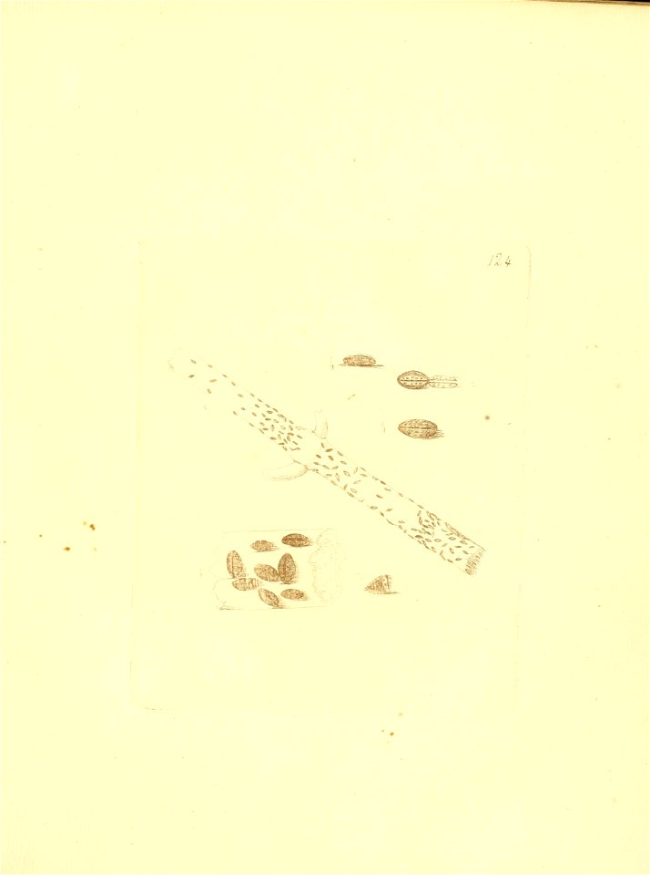 n128_w1150