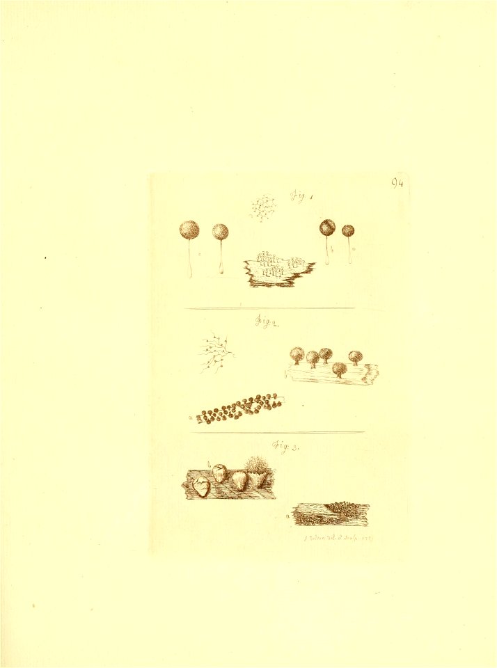 n68_w1150