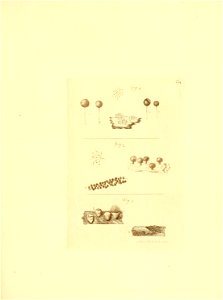 n68_w1150