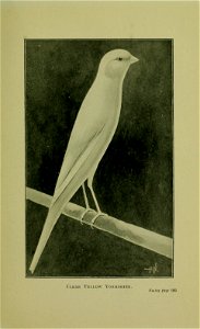 n126_w1150