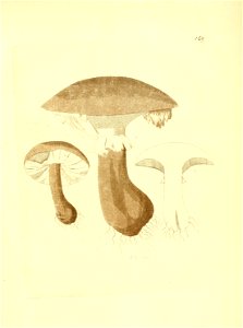 n286_w1150