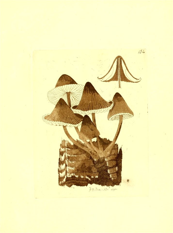 n256_w1150