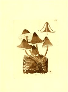 n256_w1150