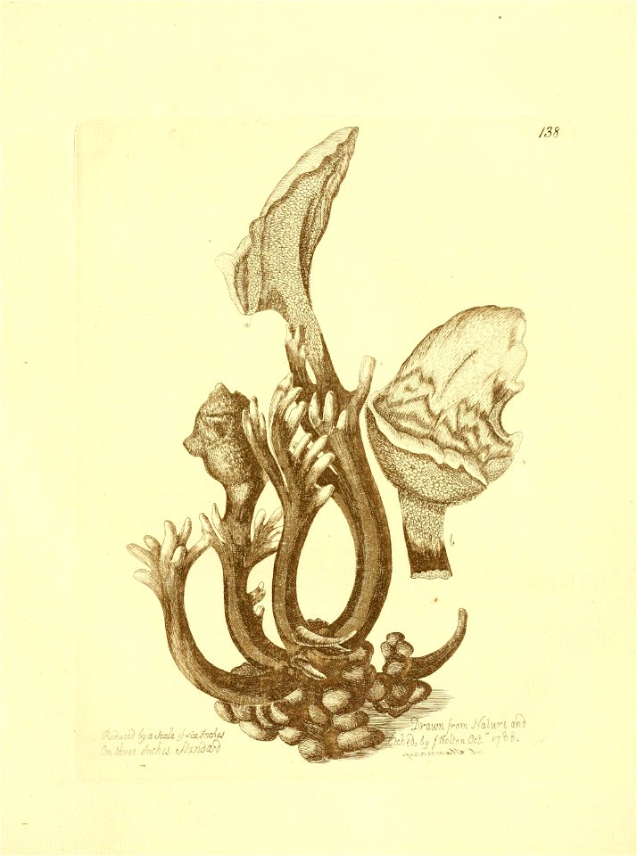 n156_w1150