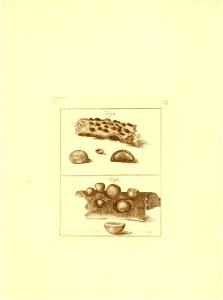 n126_w1150