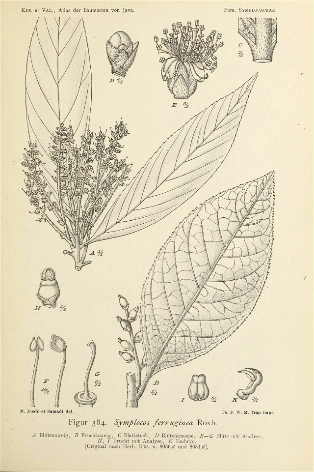 n406_w1150