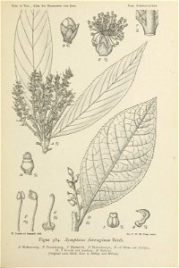 n406_w1150