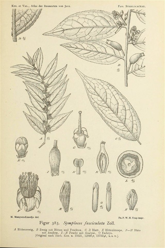 n404_w1150